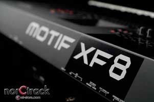 motif xf8
