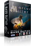 Bass Guitar Samples